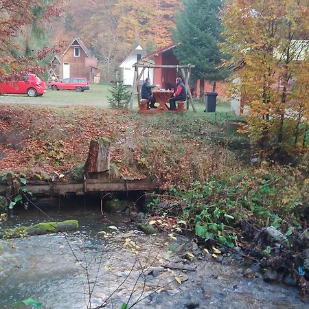 Cabana Valea Stanciului Rachitele Bagian luar foto