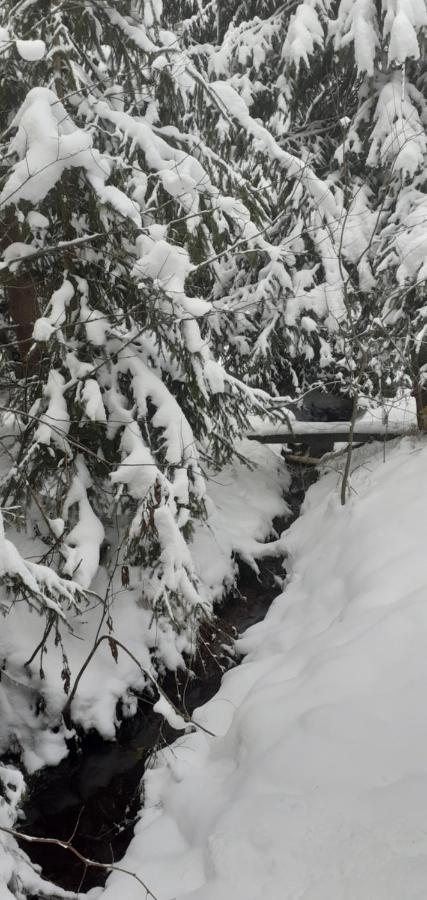 Cabana Valea Stanciului Rachitele Bagian luar foto