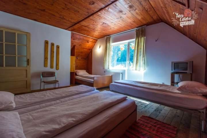 Cabana Valea Stanciului Rachitele Bagian luar foto