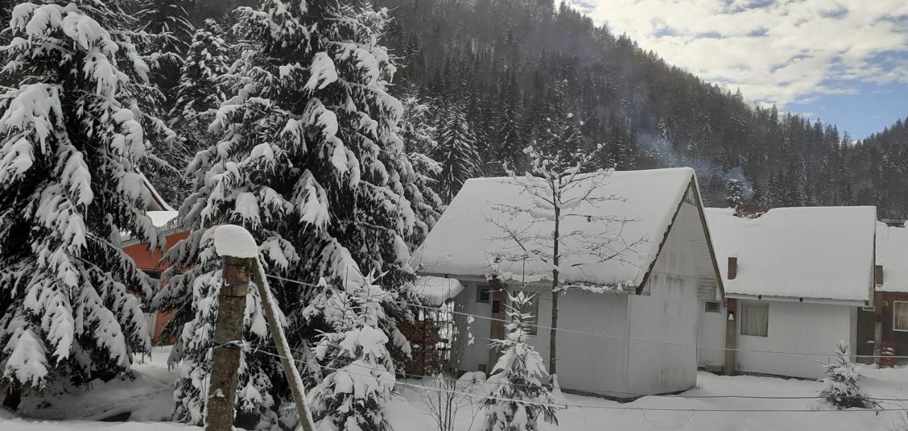 Cabana Valea Stanciului Rachitele Bagian luar foto