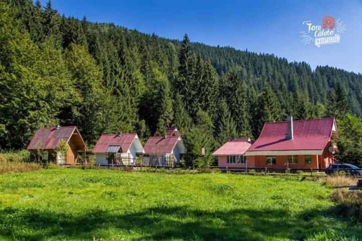 Cabana Valea Stanciului Rachitele Bagian luar foto