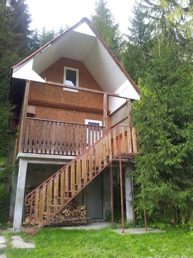 Cabana Valea Stanciului Rachitele Bagian luar foto