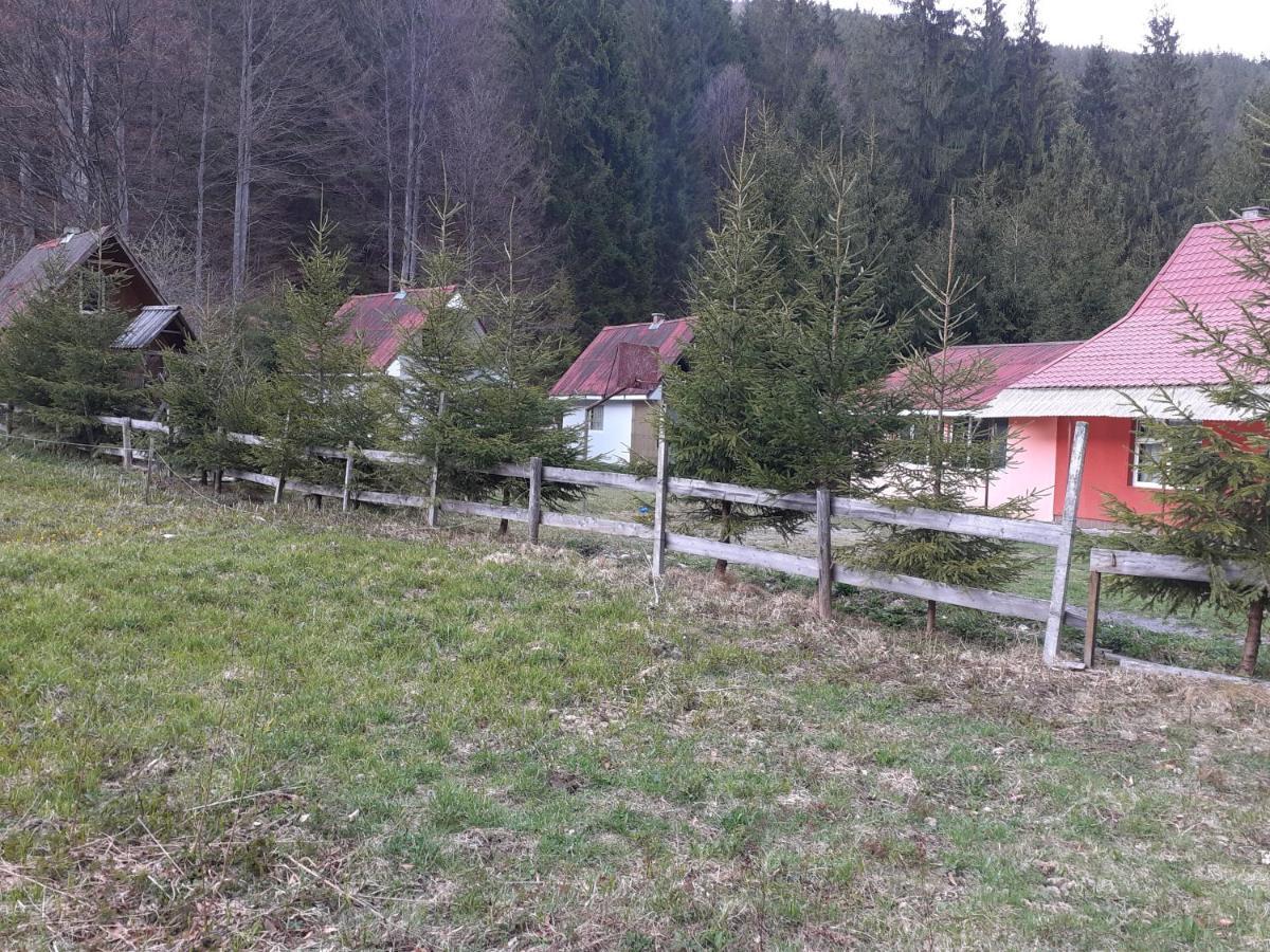 Cabana Valea Stanciului Rachitele Bagian luar foto