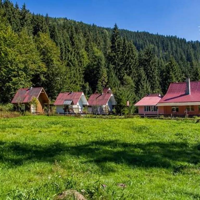 Cabana Valea Stanciului Rachitele Bagian luar foto