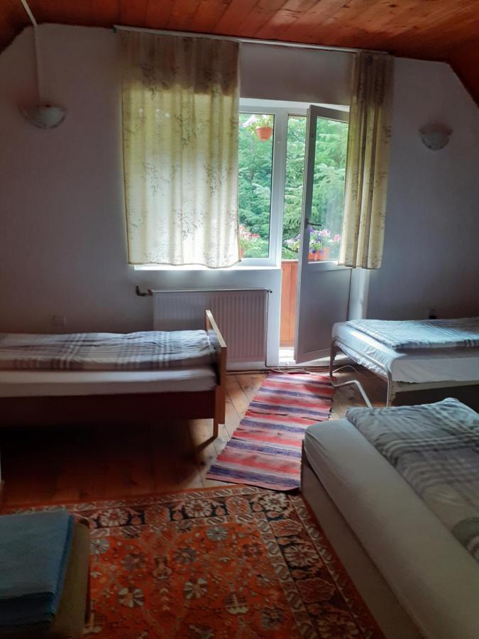 Cabana Valea Stanciului Rachitele Bagian luar foto