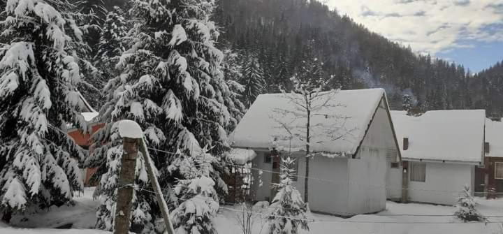 Cabana Valea Stanciului Rachitele Bagian luar foto