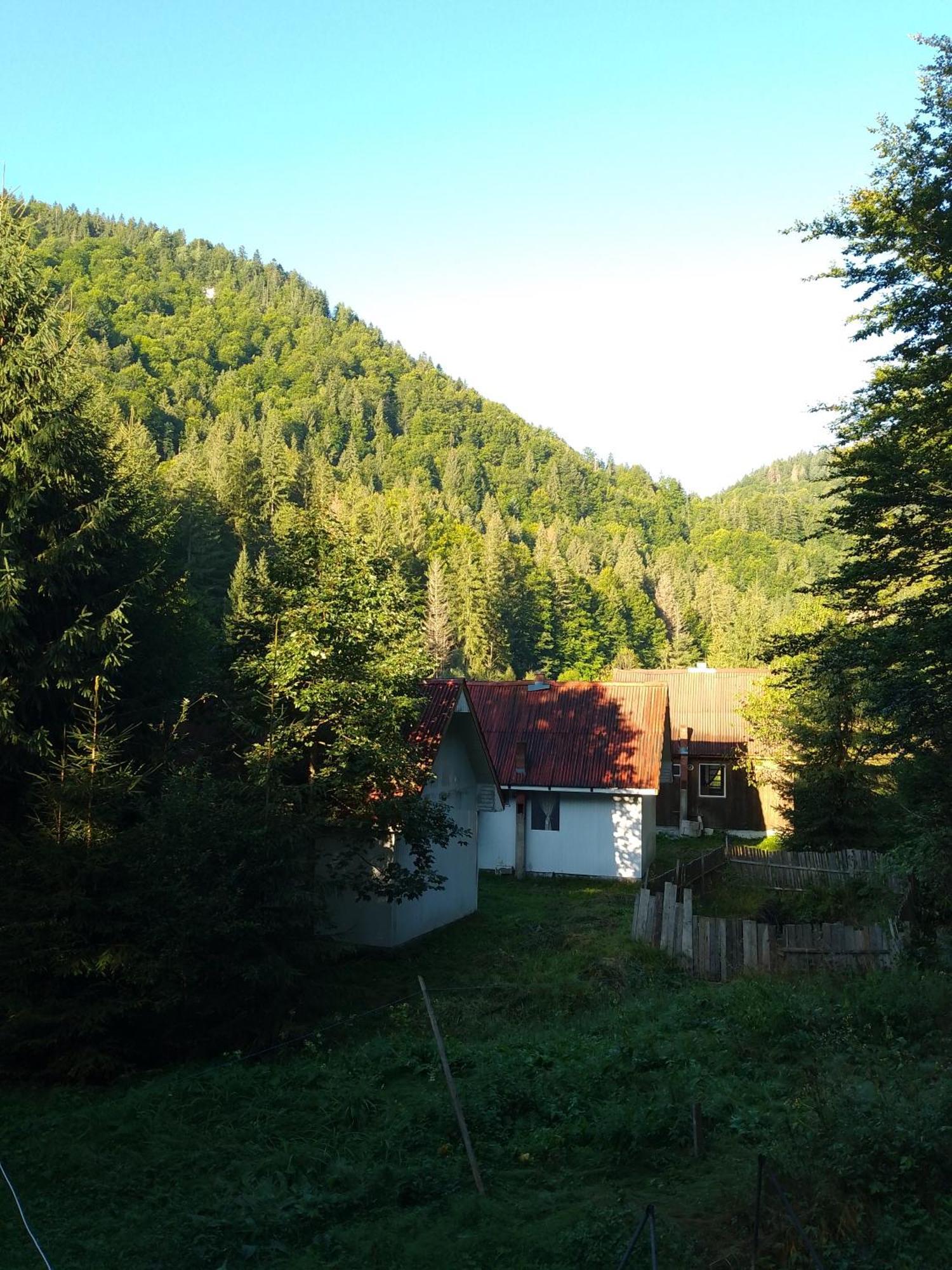 Cabana Valea Stanciului Rachitele Bagian luar foto