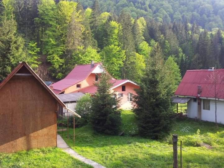 Cabana Valea Stanciului Rachitele Bagian luar foto
